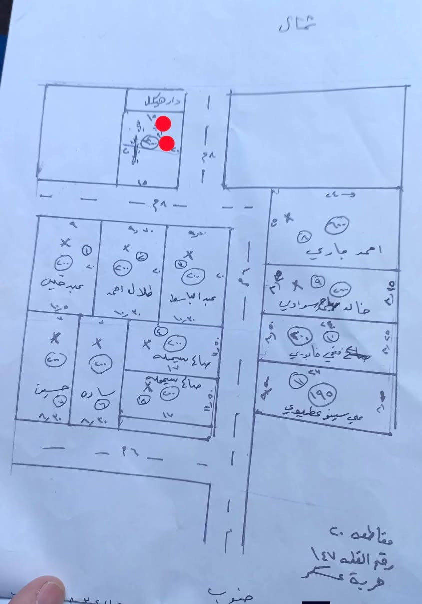 حي القوسيات • ركن النخلة • ١٥٠م