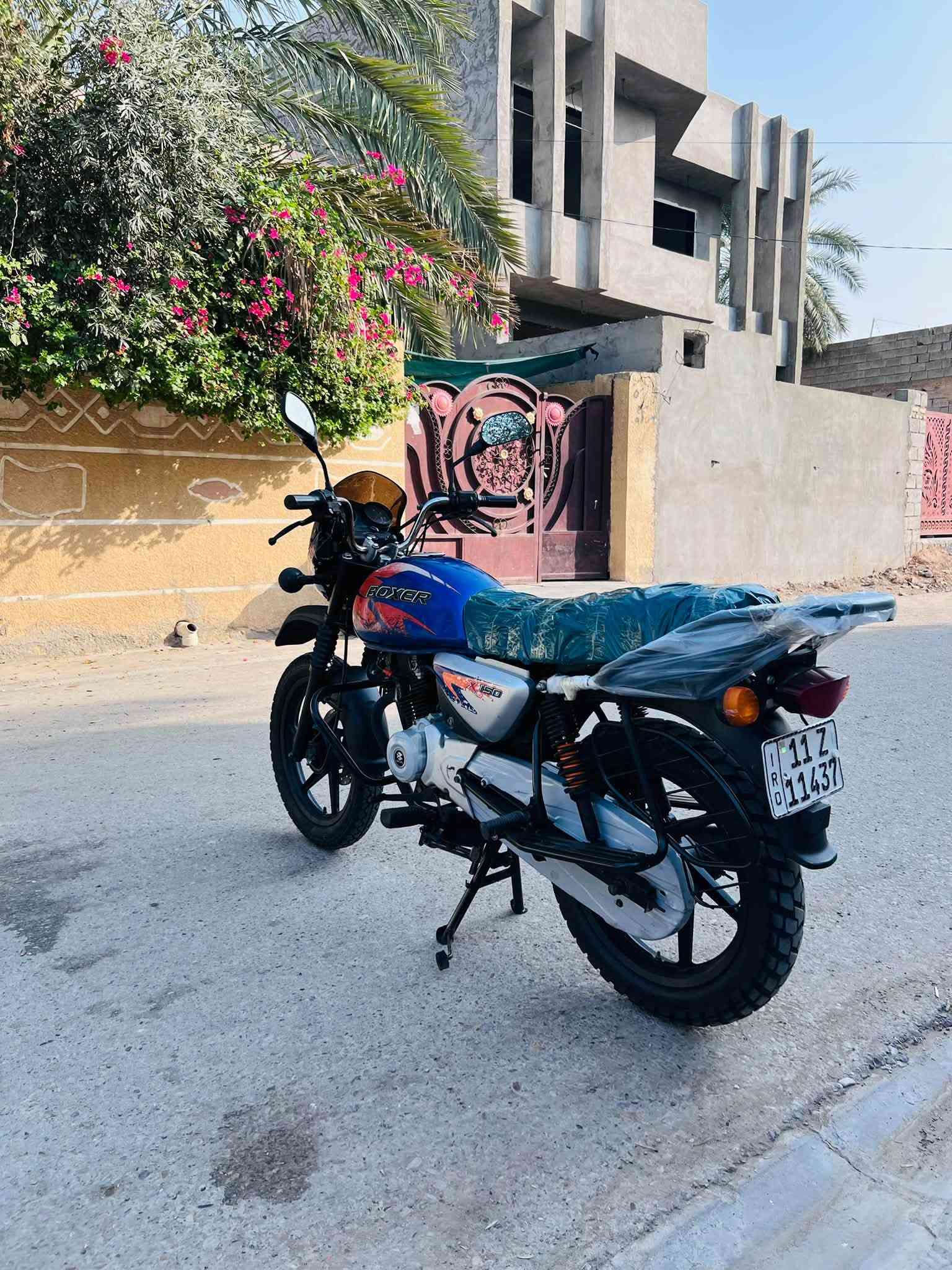 بوكسر • ٢٠٢١ • كفاله