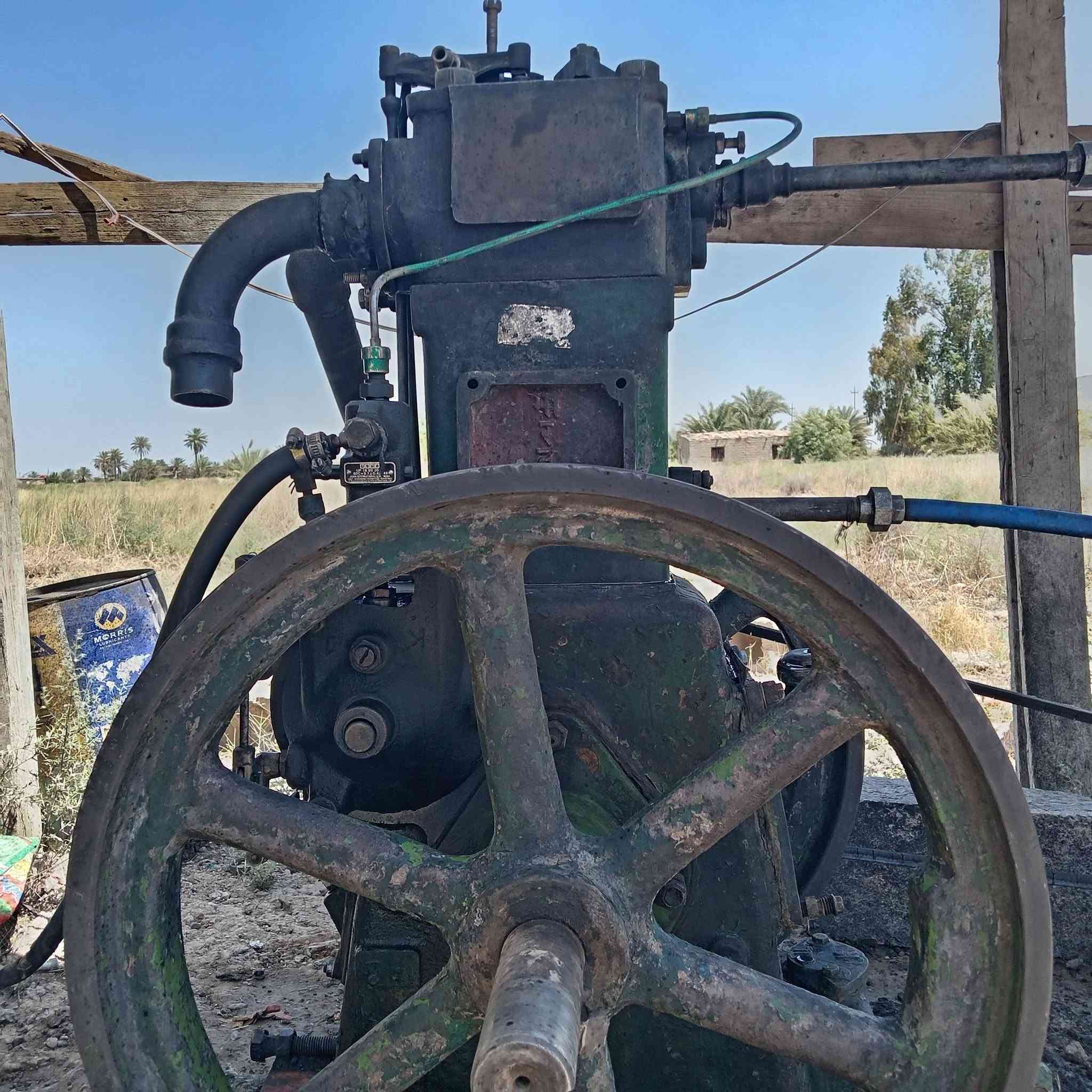 لستر
 8 إحصان فلد مارشال  للبيع***********  مكني بغداد
