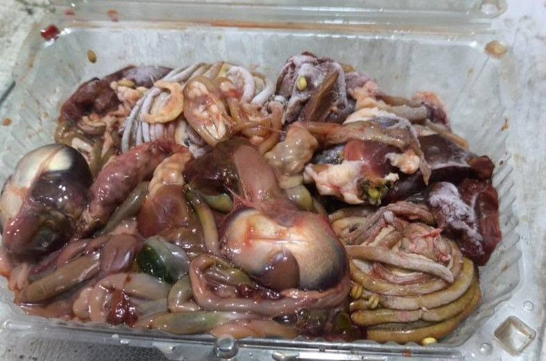طيور حرة • حذاف • بربش