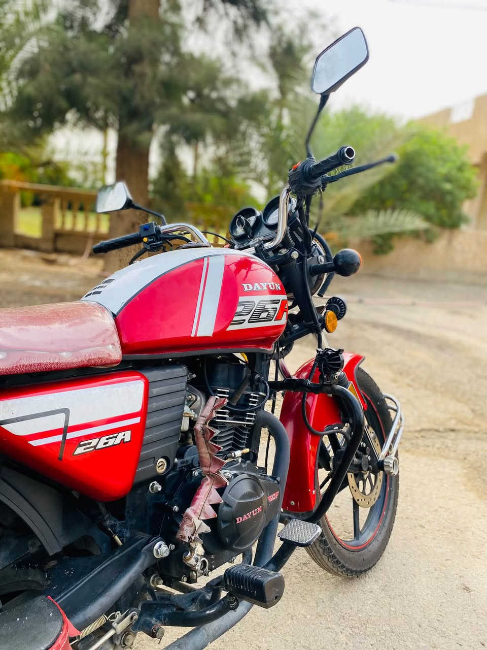 دايون • ٢٠٢٣ • مكفول