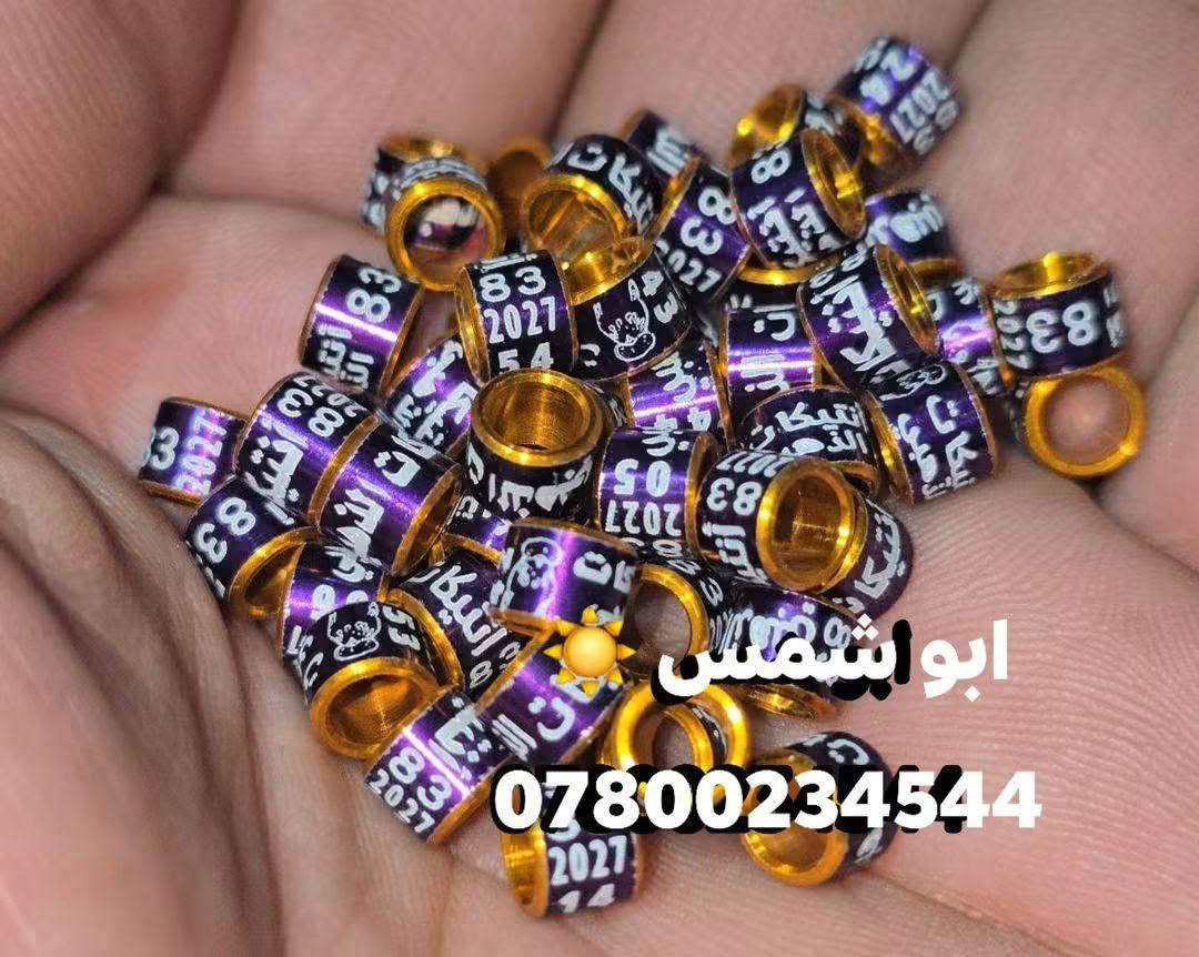 اركيلة • كواليت عالي • مقاسات متعددة