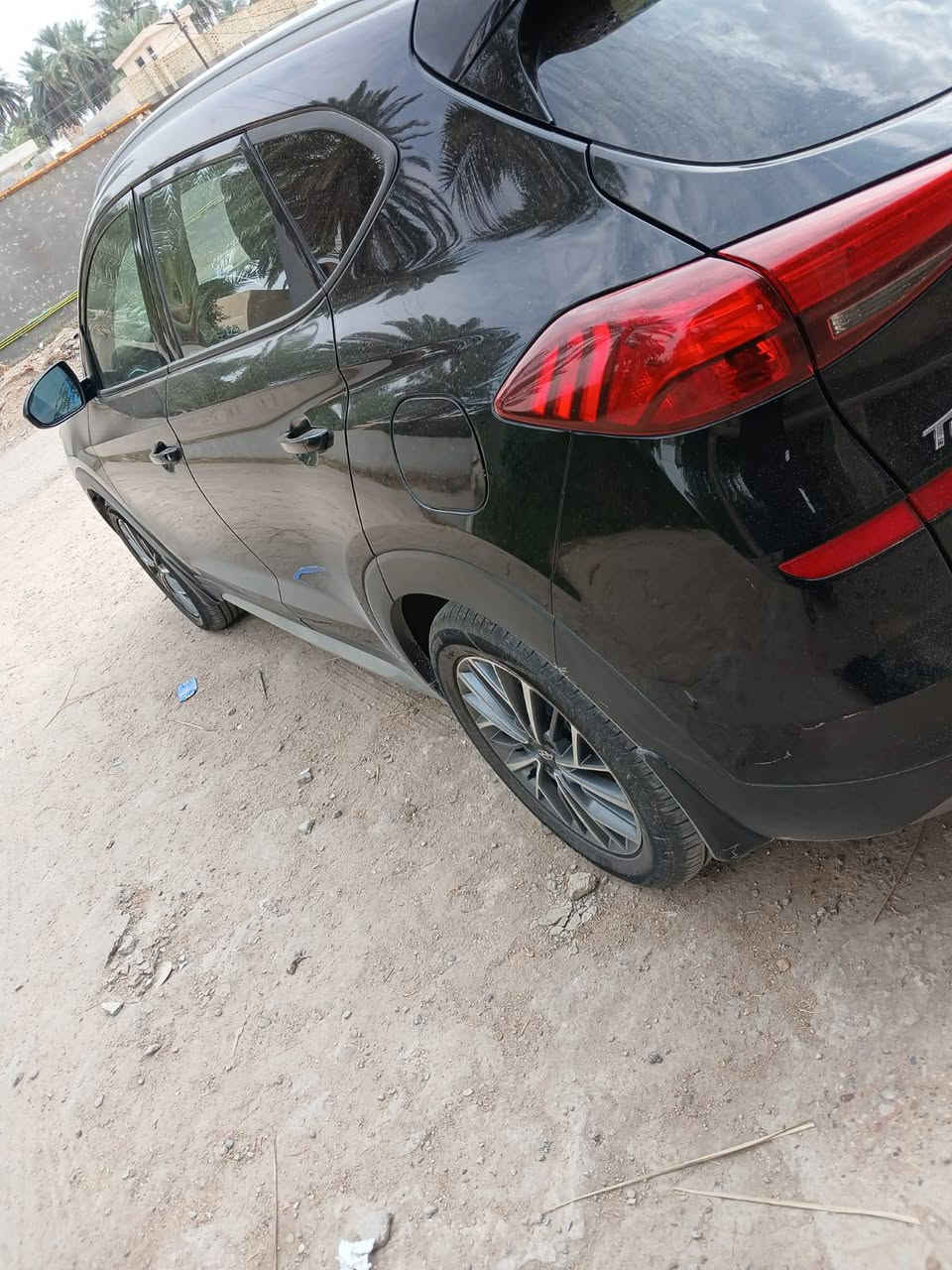 توسان • ٢٠٢٠ • وارد امريكي