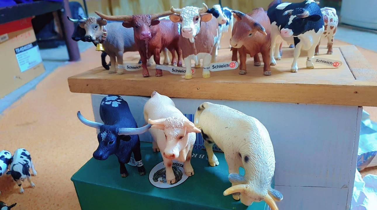 للبيع مجموعه كامله
