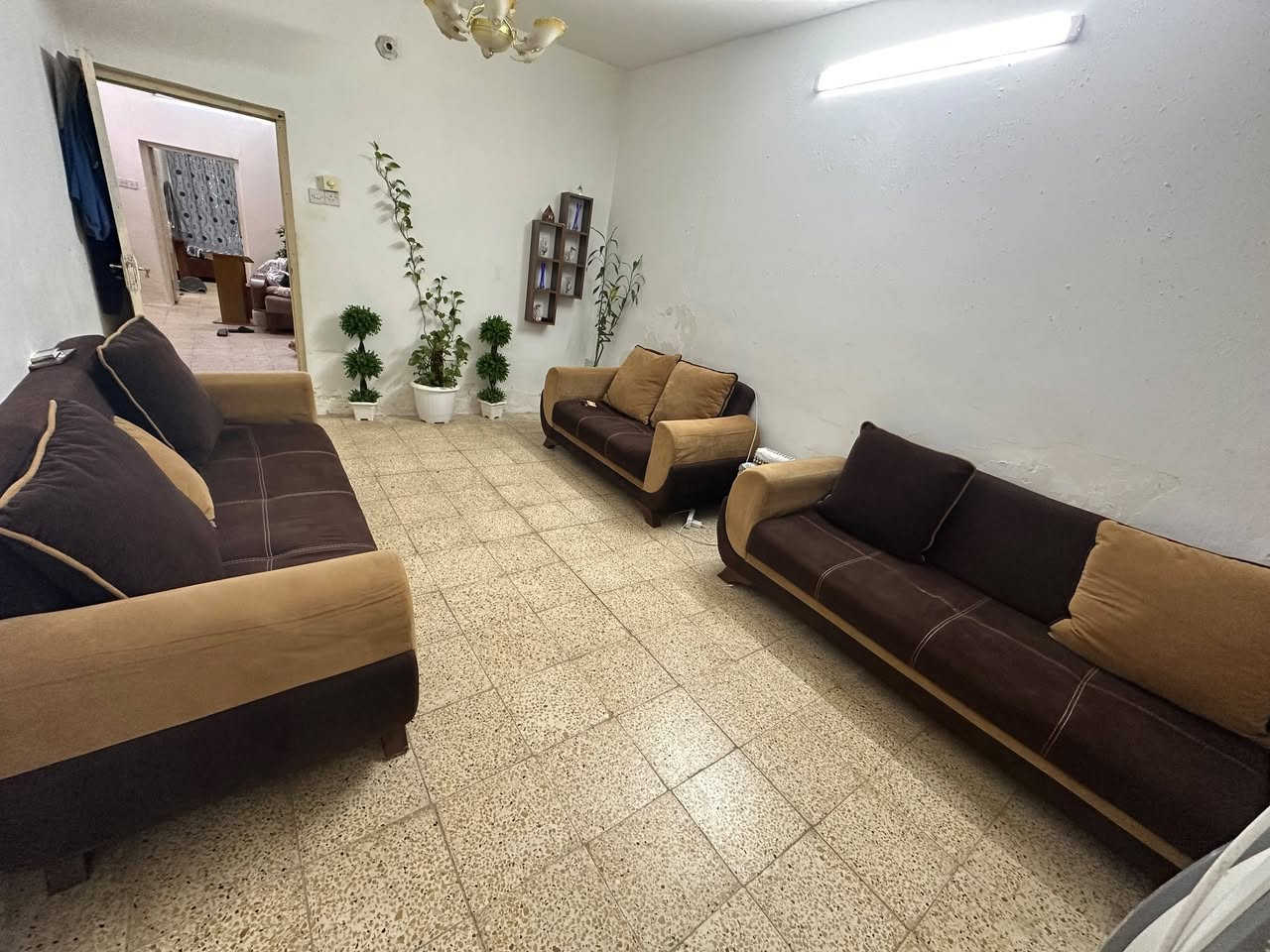 تخم8 مقاعد 200 مجمده 150
