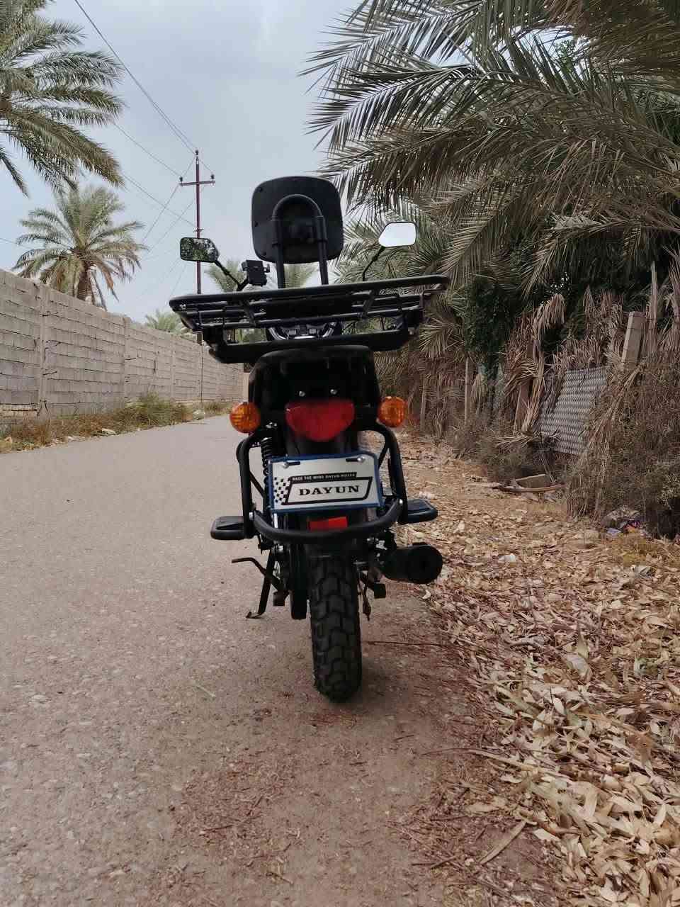 دايون جبلي • ٢٠٢٦ • ممشى ١٤٠٠٠