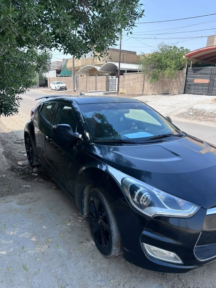 فيلوستر • ٢٠١٦ • رقم اربيل