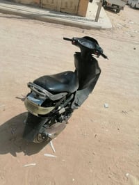 فراشه فحل • ما مفتوحه • كامله