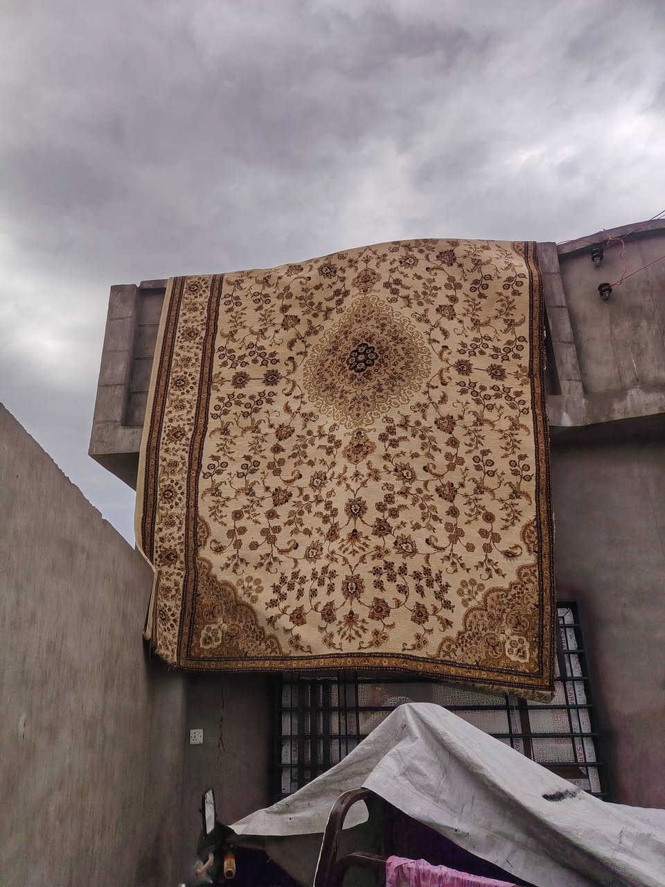زولية • مدات • جديدة