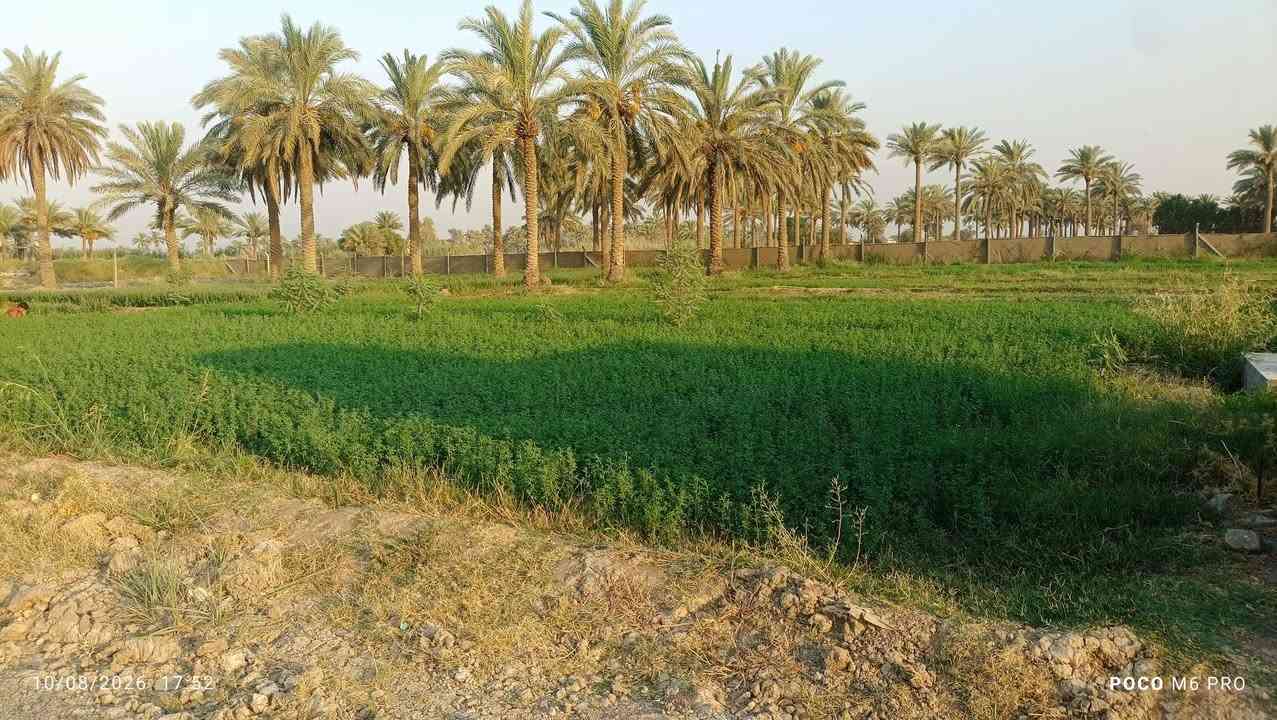 السلام عليكم بيت للبيع مع ارض مساحتها 2 دونم ونصف  الاستفسار الاتصال على الرقم
‏‪***********‬‏

‏‪***********‬‏
المكان اللطيفية كيلو 18
