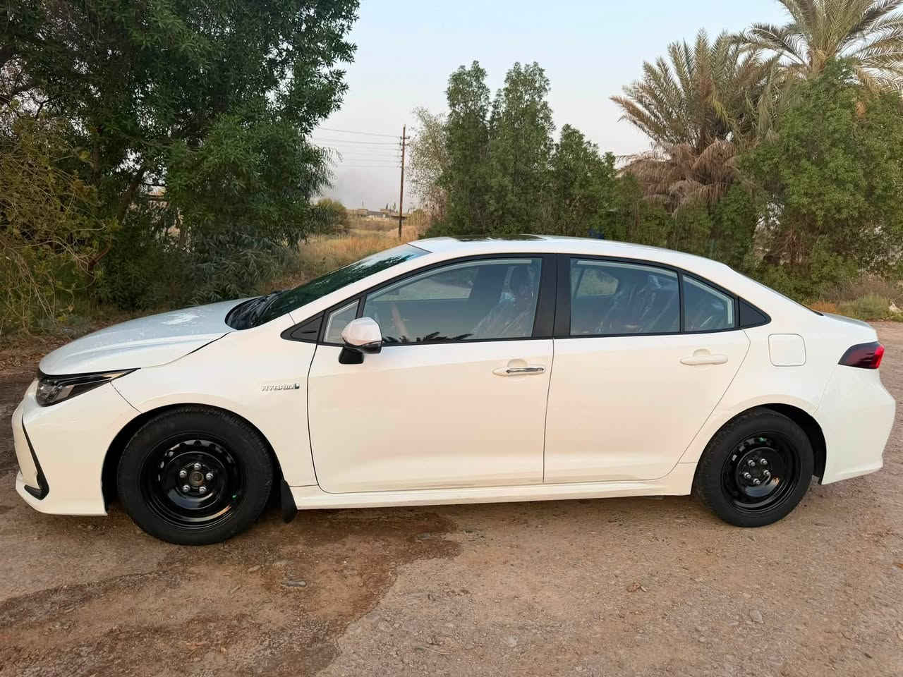 العلامه الزركه المرغوب باب اول
السلام عليكم 

كورلا هايبرت

سنة الصنع 2024

السعر 142$

مكانها بغداد

السيارة عليها عازل جام حراري

ماشية 55 الف قابل للزيادة

كامله مكمله مناقصها شي

بصمه فتحه كشنات جلد لون احمر المرغوب شاشة جبيرة

***********

هذه السونر موجود لحد يكلي شبيها مابيها
