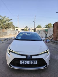 كورلا هايبرد • ٢٠٢٤ • كشنات جلد