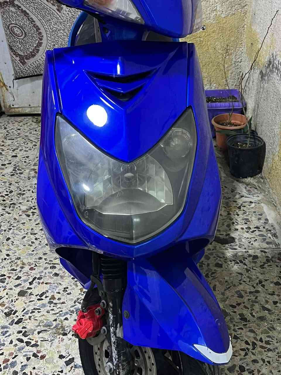 سكنس فحل • كفاله • اوراق كامله