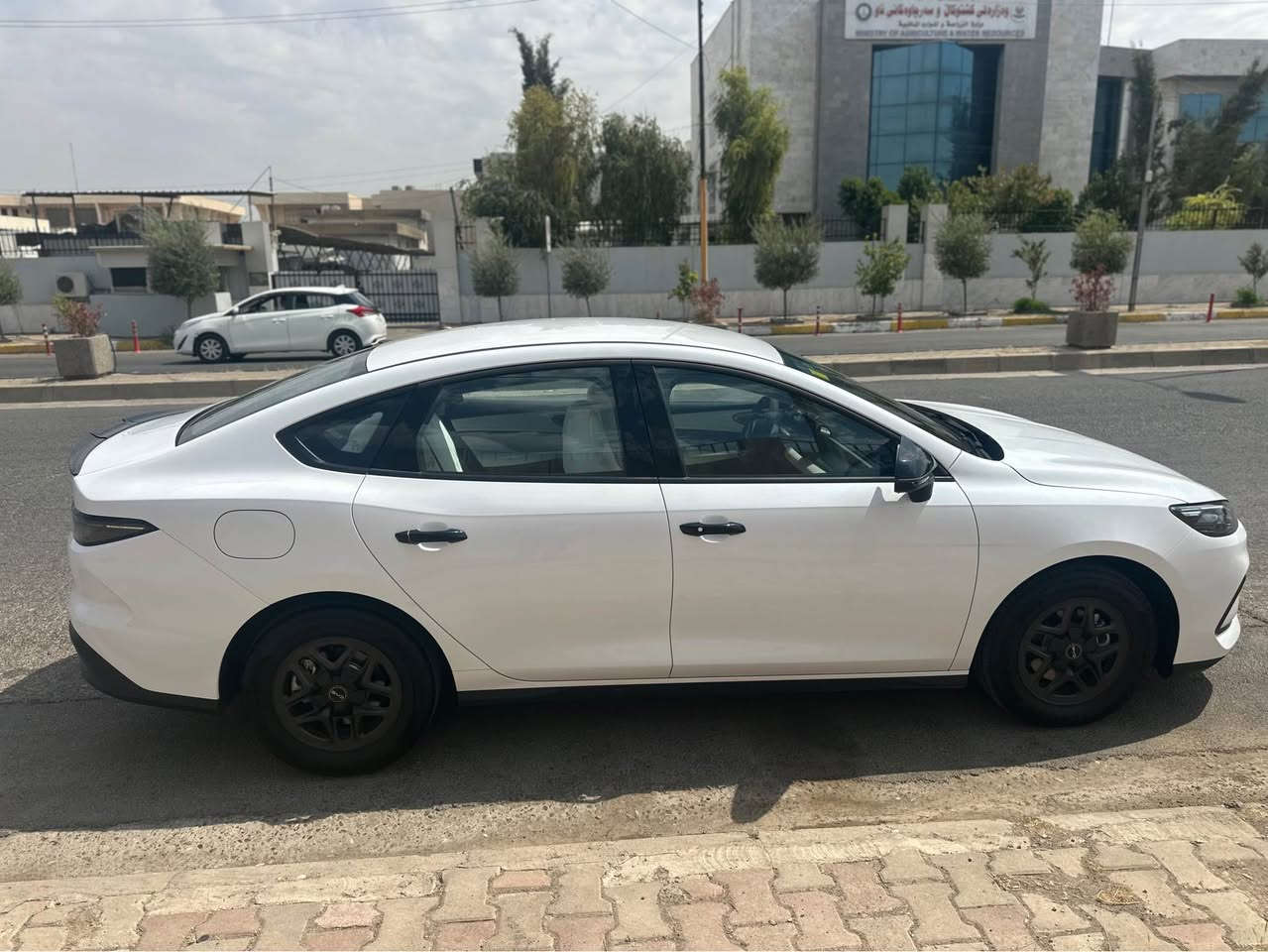 بيوايدي سئل  05
ماوي رؤشتن ١١ هازار 
تنها يك قؤپي بجوكي هايه 
كامل جوا نكاري كرايه 
*********** أربيل, العراق
