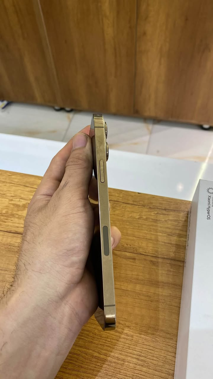 13 برو ماكس
بطاريه 88
ذاكره 256 
ملحقات 
كارتون كيبل لزكة عدسات كفر
ضمان 4 ايام استرجاع او استبدال 
ناصرية حبوبي 
***********
