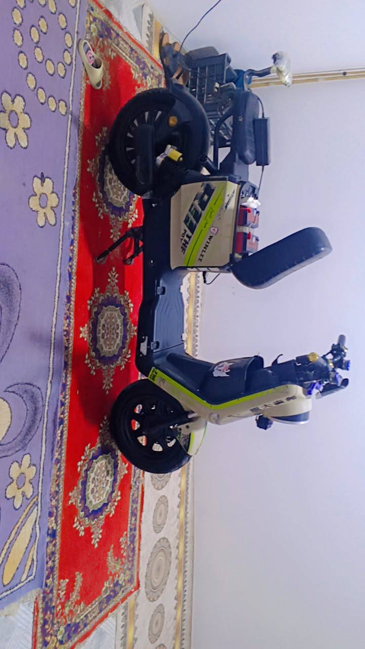 بصرة كرمت علي • دراجة شحن • ار ١١