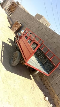 ستوته • معمره • منفوض