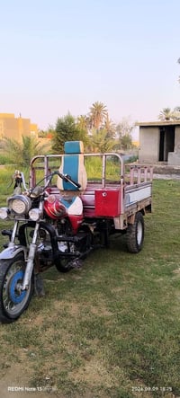 ستوته • أوراق • جاهزه