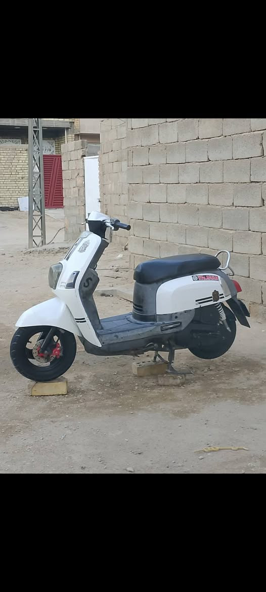 بوليس • نضيفه • معدل