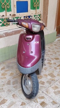 جوج • جاهز • ناصرية