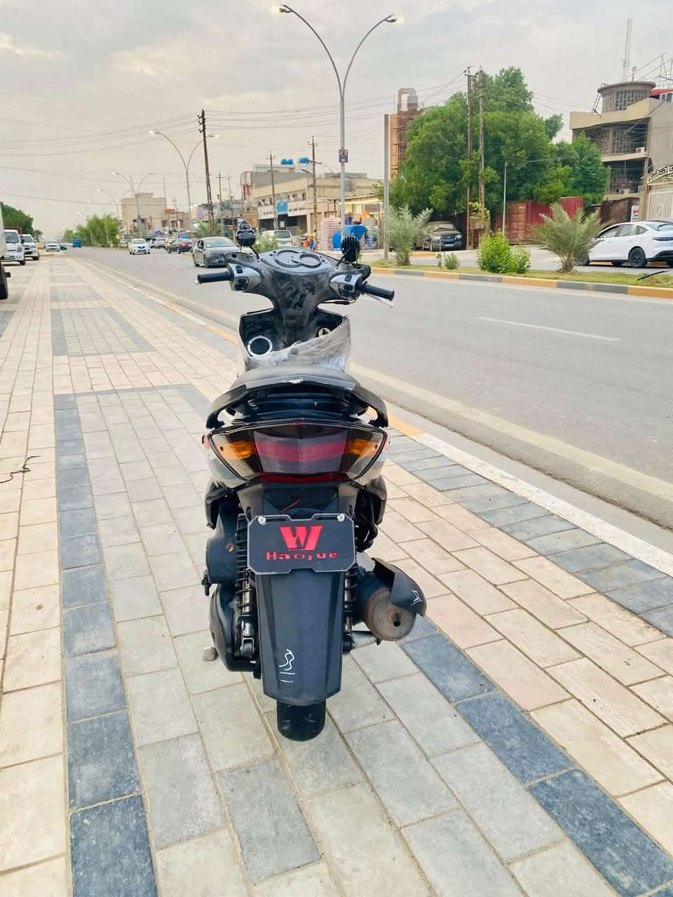 سكنس فحل • كابيرتر • الأمين