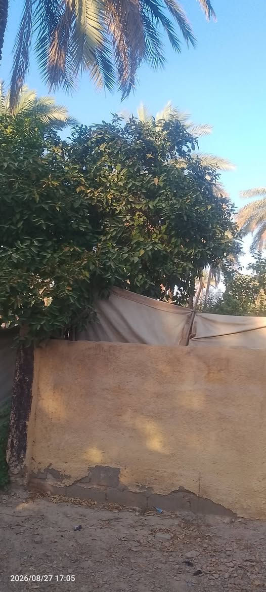 قطعه بيه بيت  للبيع مساحه 400متر وجهيه 18 بيه فرعين تبعد عن شارع 500متر بقضاه حسينينه قرب فنادق بارون طابو حق تصرف بسعر جدا جدا مناسب سعر 206 بيه مجال للتفاوض راغب بل شراء يتصل على رقم ***********او وتساب
