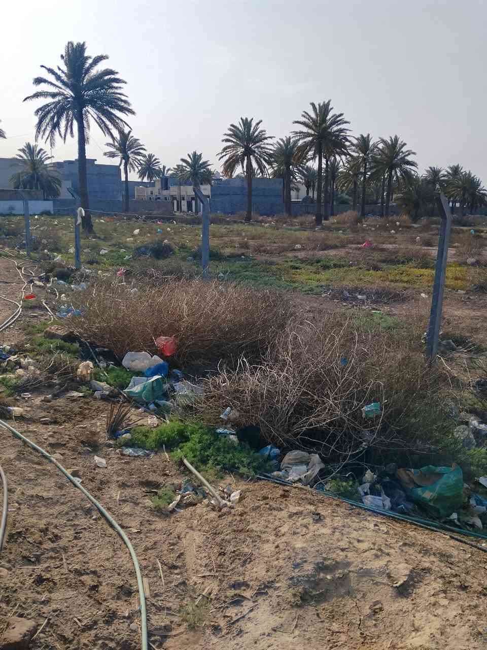 قطعه بلتلث دوانم عشارع للبيع مي كهربا كله موجود ***********
