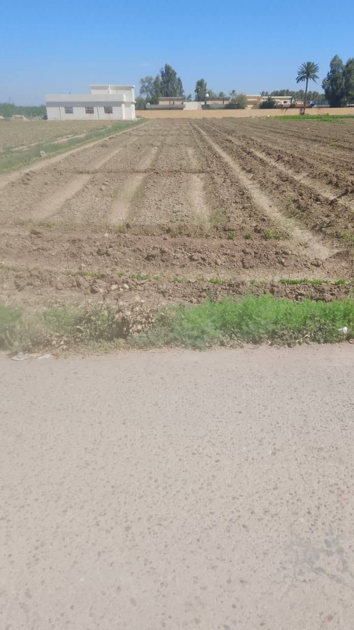 اراضي زراعيه بناحيه اليوسفيه قصر الاوسط جنوب بغداد جنوب بغداد ادريسيه قصر الاوسط دوانم للبيع سنه 25 طاب الزراعي على طاب المحموديه العنوان ناحيه اليسير قصر الاوسط للبيع اكثر من 30 دانه من عندنا موجوده مقطعه. ***********
