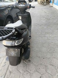 فحل • دسك • مكفول