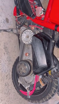 سكنس جبلي • ياباني • ١٦٠