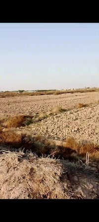 طريق المشايه • ٢٠ دونم • يم الحربي