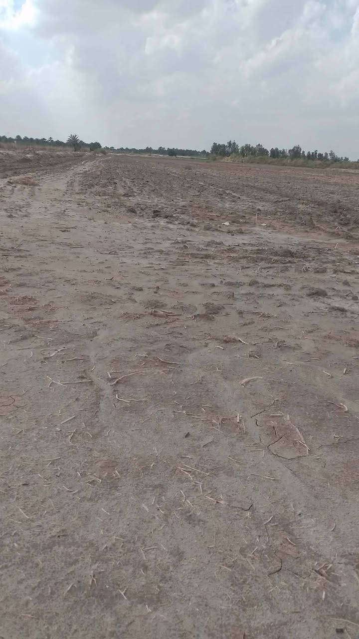 السلام عليكم للبيع ١٠ دونم عقد ٢٤ الجديد خارج حدود البلديه مكانه قرب سيطرة سيد احمد تبعد عن الشارع الرئيسي ٤٠٠ متر مكانه شارع المطار قرب مظيف شيخ عدنان سعر الدونم خمسة  ملايين تلفون***********
