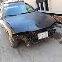 برنس • ١٩٩٥ • مكفولة