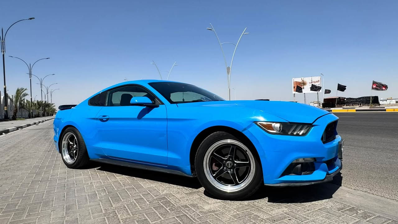 موستنك 6 سلندر
موديل 2017 
لون مميز 💙
ويل ويلد

محرك گير كهربائيات كفالة 
لغود شواصي كفالة 

بيه 4 قطع سطحيات بدون دواخل 

تبديل بنيد بحادث امريكا و تصليح باب و جاملغ بالعراق 
مثل ما موضح بالسونار 

السونار بتاريخ 2026/6/16

حادث امريكا و حادث العراق و رقم الشاصي موجودات بالصور 

الحادثين سطحيات 

ايرباك استيرن فقط 

ماشية 64 الف ميل 

السيارة رقم بغداد بأسمي 

مكان السيارة البصرة 

لتواصل ***********

السعر 138

نص مكتوب في الصور:
- حادث العراق