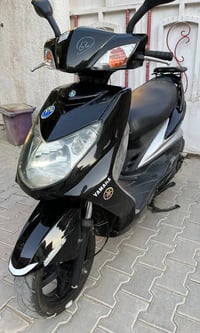 سكنس فحل • ياباني • مكفولة