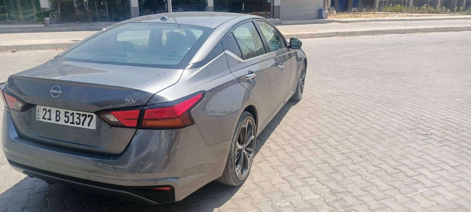 التيما SV • ٢٠٢٤ • بدون صبغ