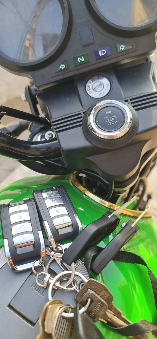 شاينك • ٢٠٢٦ • جديده