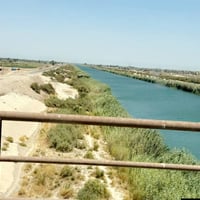 التاجي الشيخ عامر • ٥ دونم • طابو سند ٢٥