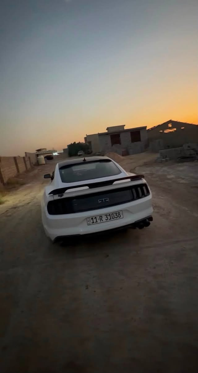 موستنك جيتي ٢٠٢٢اصل عليهه كت ارتي ار كير مكينه مكفوله ماشيه ٣٤ مكان بغداد بدون دواخل بدون شواصي  بيهه ٣قطع باب وجاملغ جهه السكن تبديل بلادي نفس الون جاملغ الخلفي بيه صبغ شبرين فقط صدر تبريد كله جديد اكتف كزوز ريمونت  رادار امامي خلفي جانبي تحديد مسارصوره الحادث بالمنشور المكان بغداد جسر ديالى   ***********
