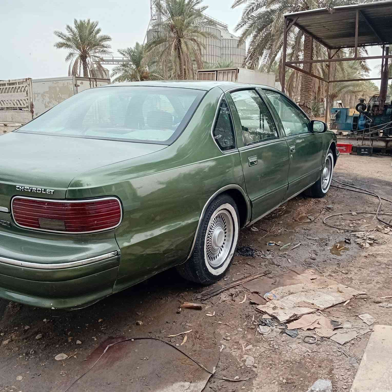 دولفين • ١٩٩٤ • بدون ضربه