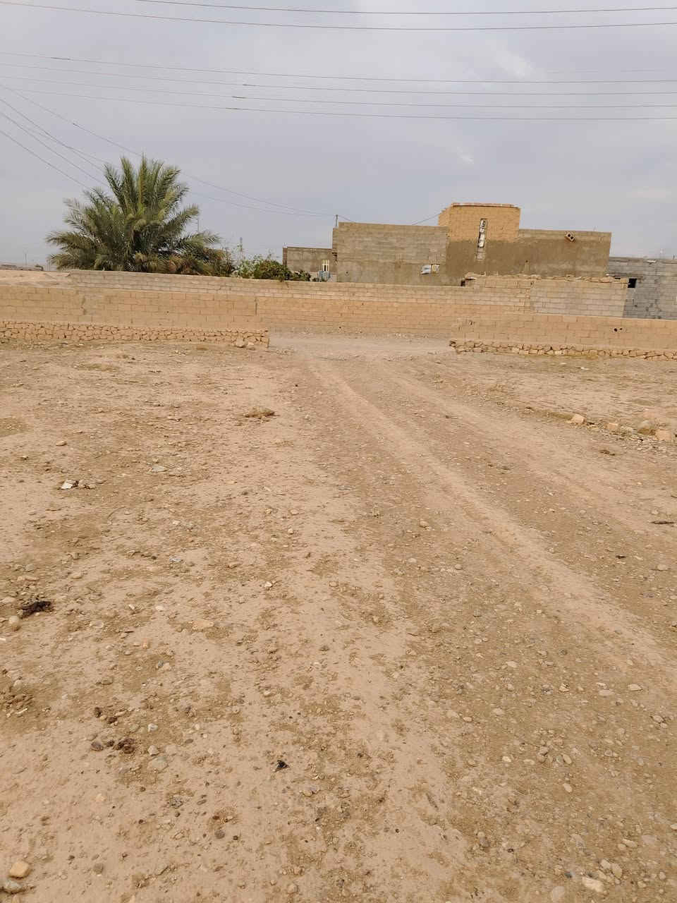 الزيتون الغربي • ٣٠٠٠م • ٤شوارع