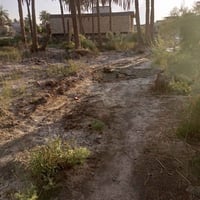 أرض زراعية • منطقة الثمن • ٢٥٠م