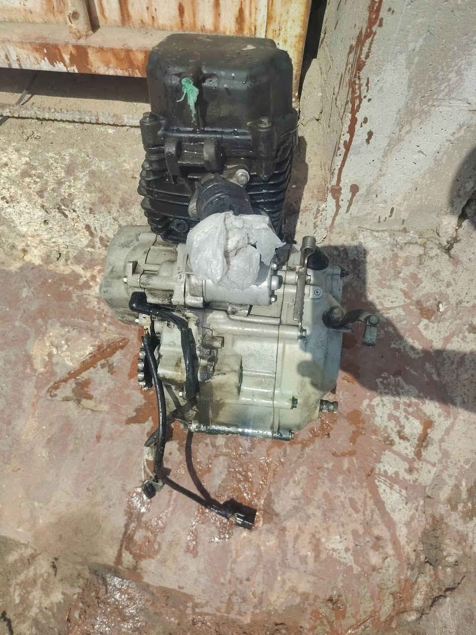 محرك بوكسر مستعمل شغال بستم وكور كامل  وكلج وسنجيل ومساطر قبل كم شهر مبدلات وكاله صار بي مشكله بالتنمير بس نمر ١ تشتغل ما اعرف شنو السبب  للبيع.
السلام عليكم 

محرك بوكسر مستعمل شغال بستم وكور كامل  وكلج وسنجيل ومساطر قبل كم شهر مبدلات وكاله صار بي مشكله بالتنمير بس نمر ١ تشتغل ما اعرف شنو السبب  للبيع بسعر ٢٠٠وبي مجال ابيع كوم حديد 

***********
