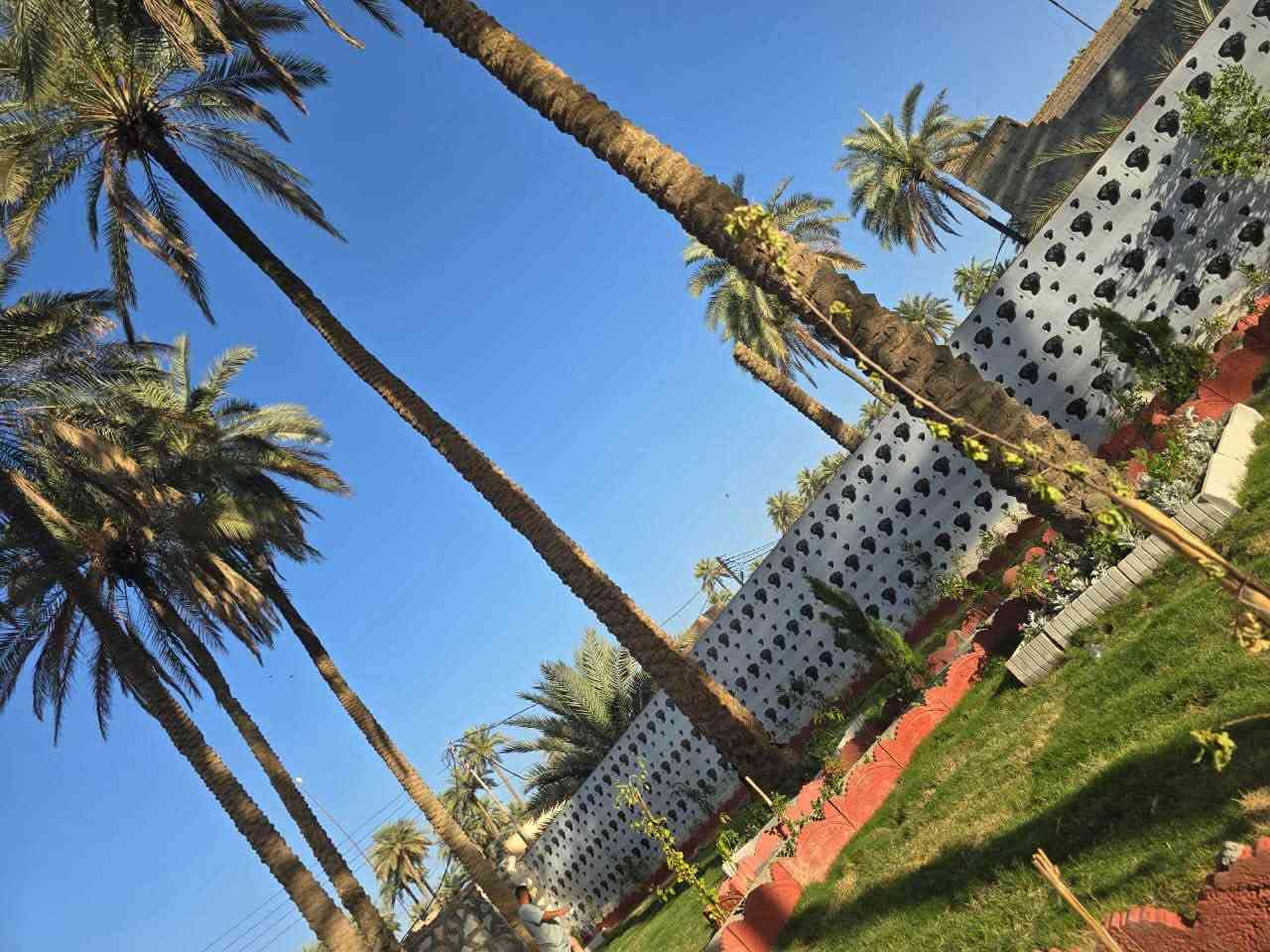 فرصة استثمارية • ٢٥٠٠م • طابو زراعي