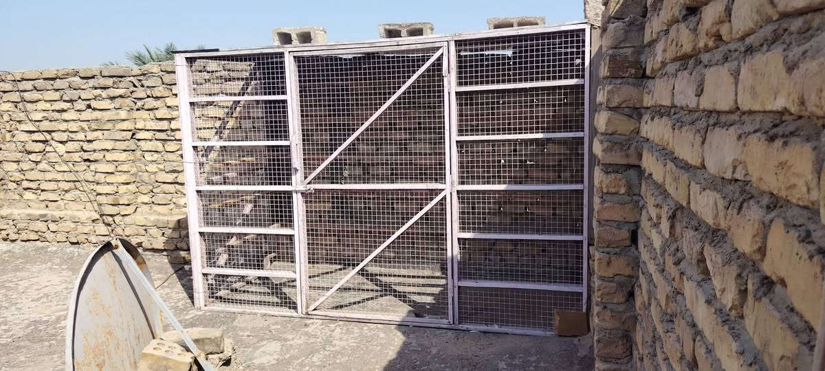 سلام عليكم واجهيات وصفحيات للبيع مرتبات ونضيفات وشغل درجه اوله مشتغلهن تريد اسويهن برج واحد تريد تقسمهم كل برج واحد طول الواجهيه 5امتار العرض 120 الارتفاع 170كامل هوه وترايشه وحلاله سكف ماله بلاويد درجه اوله وكله براغي ينفتح مو بسامير السعر 220الف كامل هوه والغراض ***********
