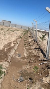 السميلات • ٢٥ دونم • سند باسمي