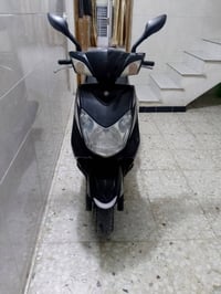 سكنس فحل • اوراق كامله • كفاله عامه
