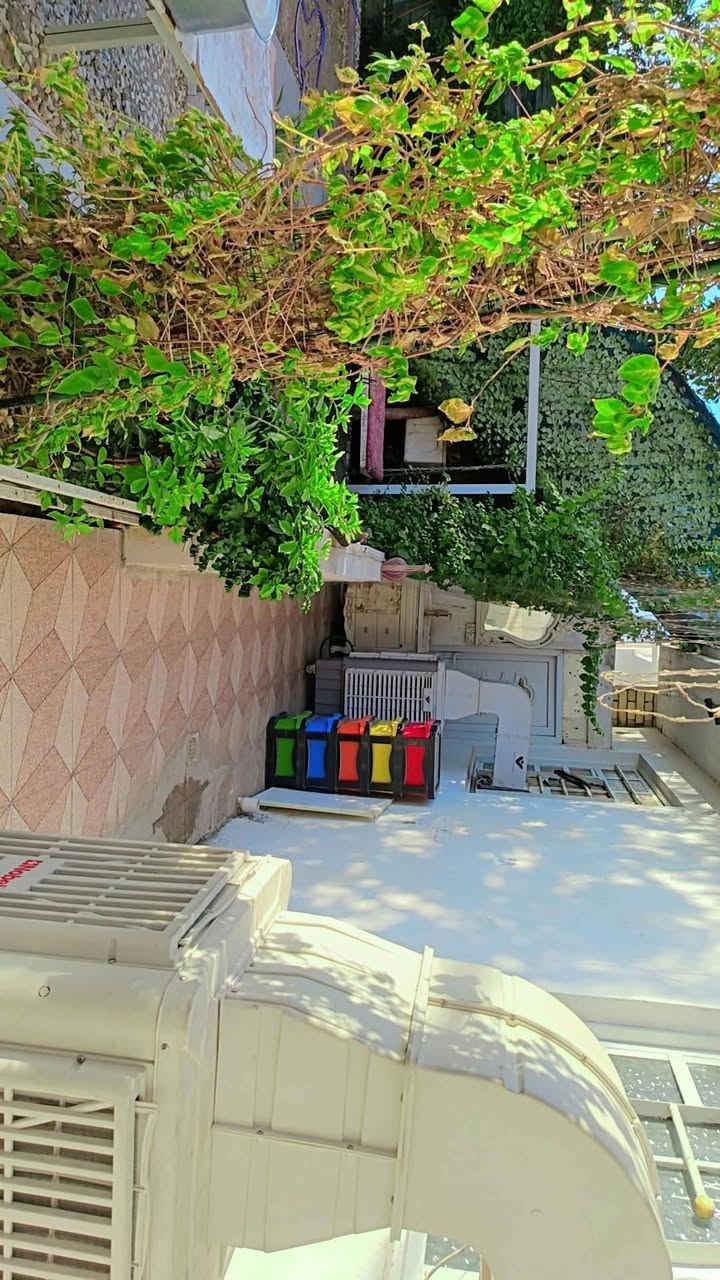 السلام عليكم بيت للبيع المساحه 150 طاب وصرف و150 تشجير بيت يحتوي على حديقه خارجيه وطرمتين وست حمامات البيت يحتوي على مدخلين يحتوي على صاله واستقبال في الطابق الاول وغرفه نوم ومطبخ حار وبارد في الطابق الثاني ثلاث غرف نوم وصاله المكان بغداد الدوره ابو الدشير خلف المركز الرقم *********** الرقم الثاني ***********
