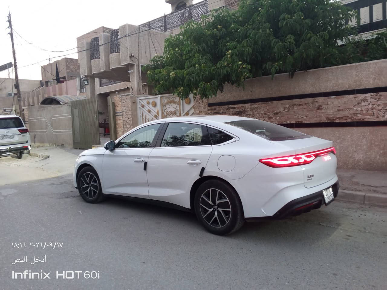 كنيل • ٢٠٢٤ • بغداد السيدية