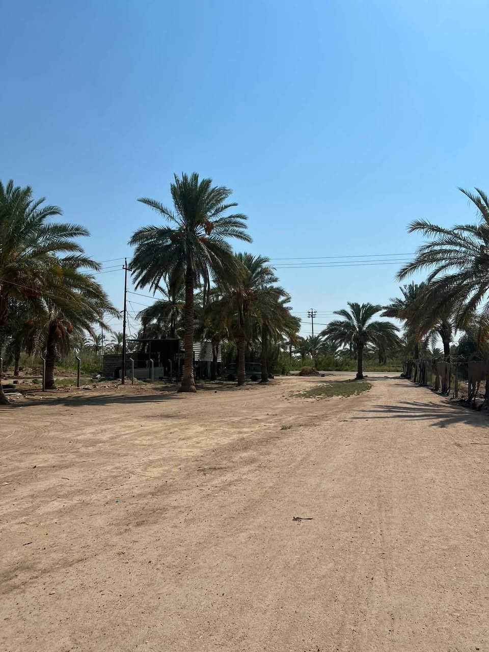 السلام عليكم 
ارض زراعيه للبيع فرع المصلخ.المساحه : 3دونم تبعد عن المشروع 150م تحتوي على بيت وبستان 
لـمعرفة السعر وللاستفسار اتصل هـ:***********
